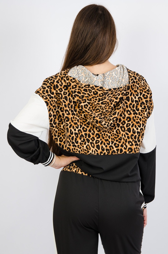 Komplet dresowy z elementami panterki