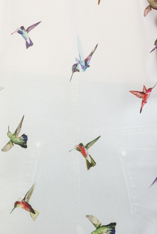 Koszula w kolorowe ptaki